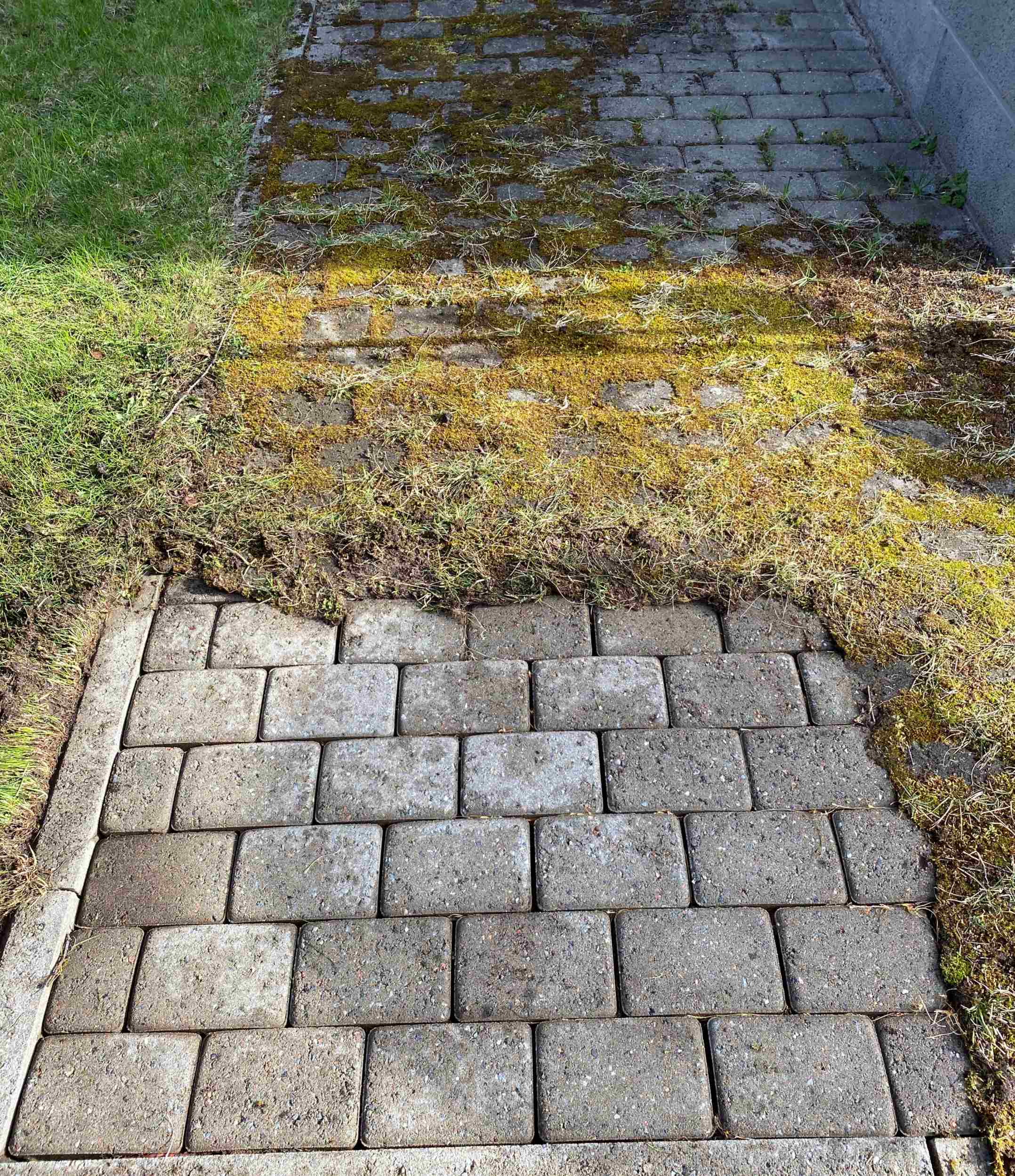 Tänavakivi puhastus