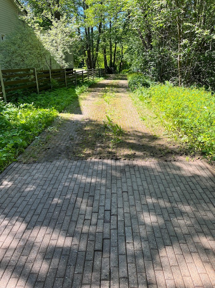 Tänavakivide puhastus